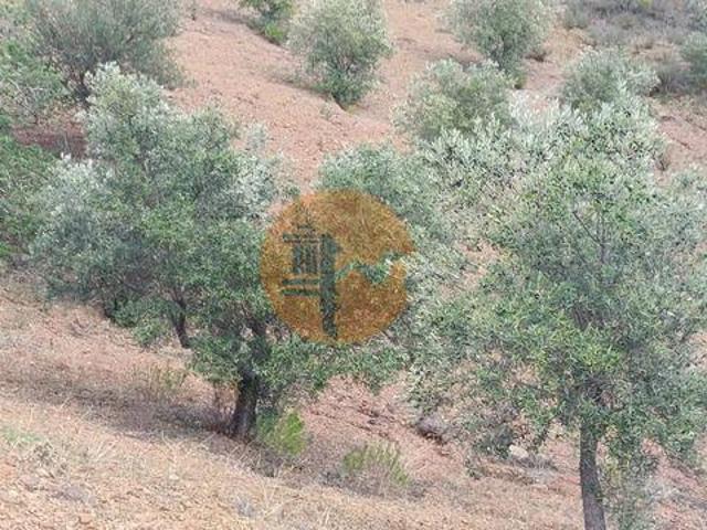 Castro Marim Faro 96316278