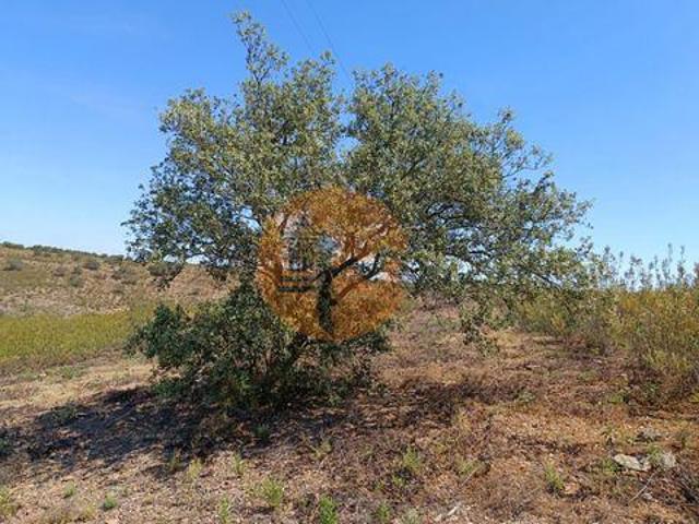 Castro Marim Faro 96316226