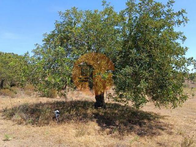 Castro Marim Faro 96316228