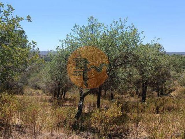 Castro Marim Faro 96316230