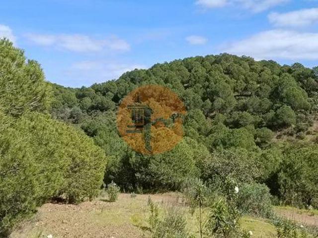 Castro Marim Faro LS96326663