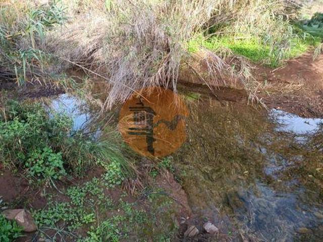 Castro Marim Faro 96329702
