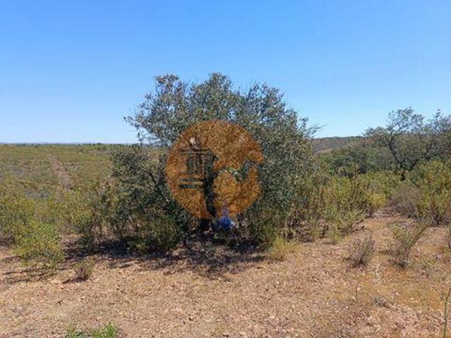 Castro Marim Faro 96332579