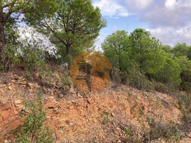 Castro Marim Faro 105530640