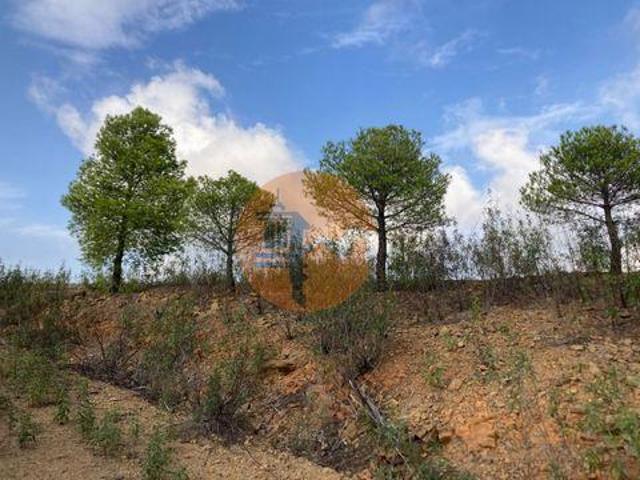 Castro Marim Faro 105530641