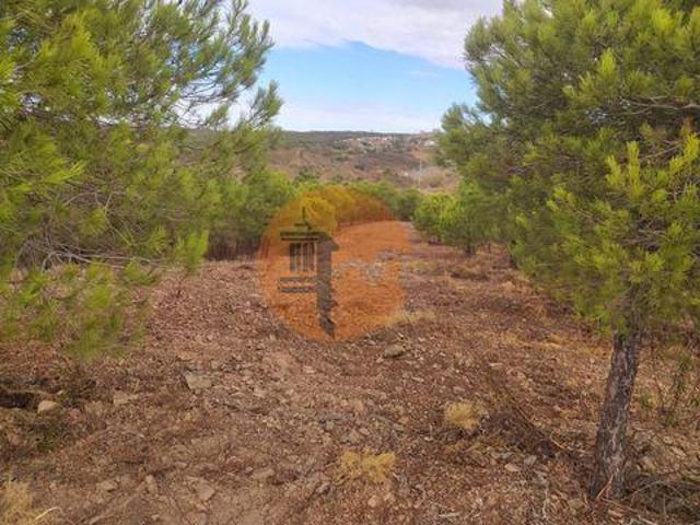 Castro Marim Faro 105228489