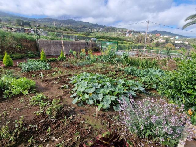 Casa con precioso terreno de cultivo, varias terrazas, garaje varios vehículos, increibles vistas