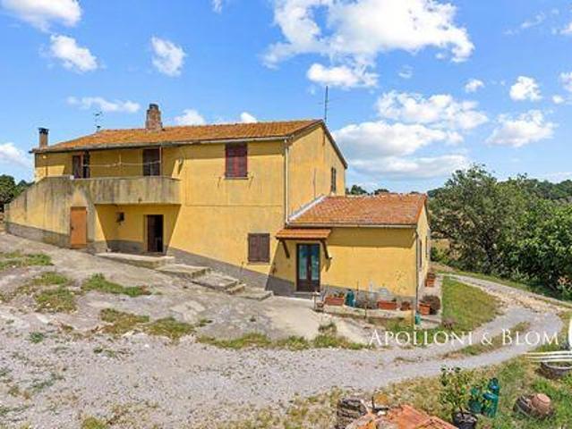 Casa Magliano in Toscana ToscanaTuscany 58051 DS96471753
