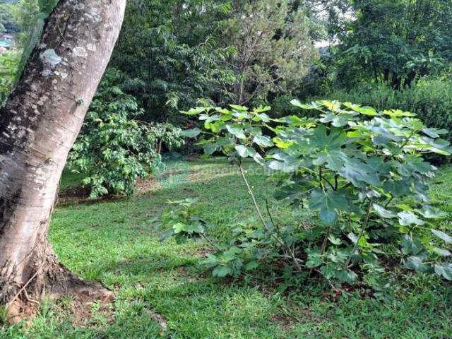Casa no Centro com Privacidade, vista e mata nativa