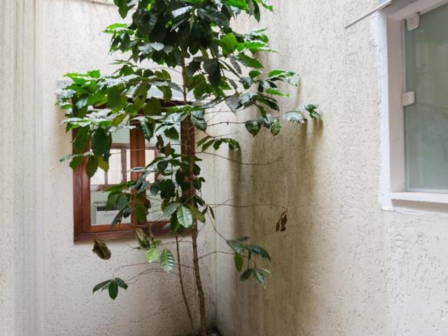 Casa, Nova Petrópolis, 2 Quartos, 150 m2 São Bernardo do Campo