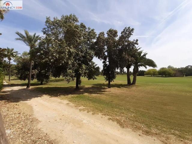 Casa o chalet de alquiler en Oromana, Alcalá de Guadaira