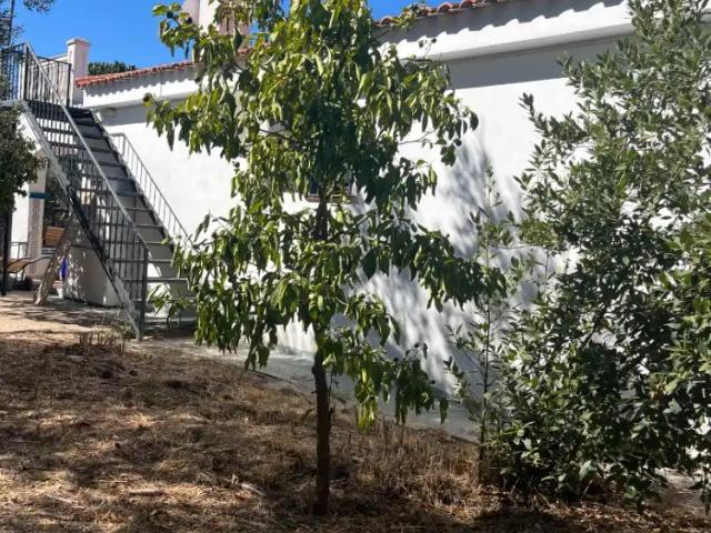 Casa o chalet de alquiler en Buenavista Lauro Golf, Alhaurín de la Torre