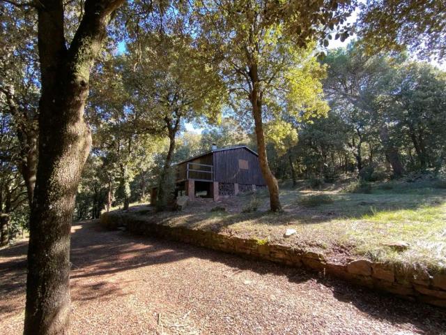 Casa o chalet de alquiler en Can Mas Petit / Cn del Maset, El Brull, Barcelona