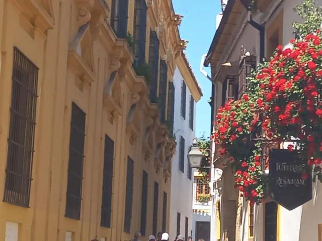 Casa o chalet de alquiler en Casco Histórico Ribera San Basilio, Córdoba Capital