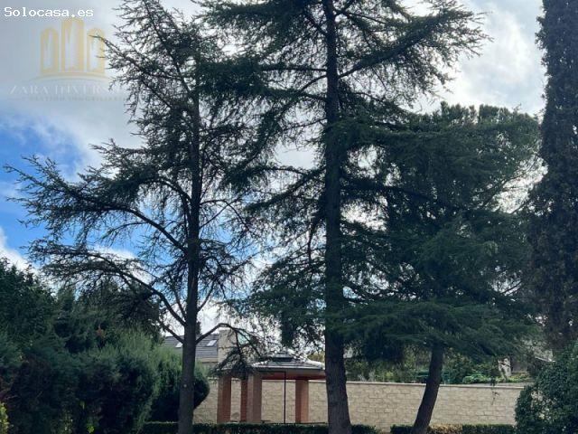 Casa o chalet independiente en venta en Av. Castillo