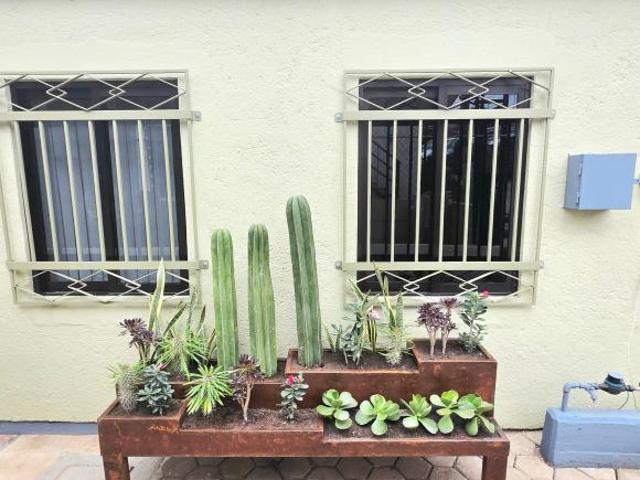 Casa Olivo recien remodelada con alta plusvalía