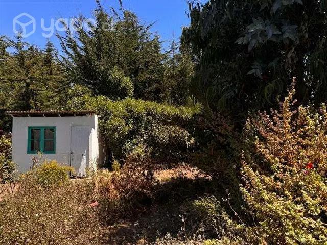Casa Oportunidad Lindo sitio con cabaña a 800 m | 3 dormitorios por 158900. 00 en Puchuncaví