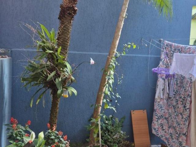 Casa, Osvaldo Cruz, São Caetano do Sul, SP