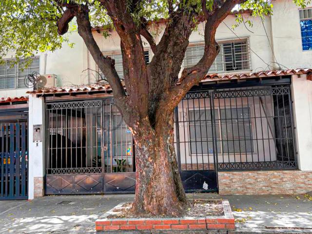 CASA AVENIDA 9E #1 25 QUINTA ORIENTAL, Quinta Oriental, Cúcuta