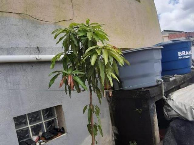 Casa Térrea à venda 3 quartos 2 vagas Palmares Santo André SP