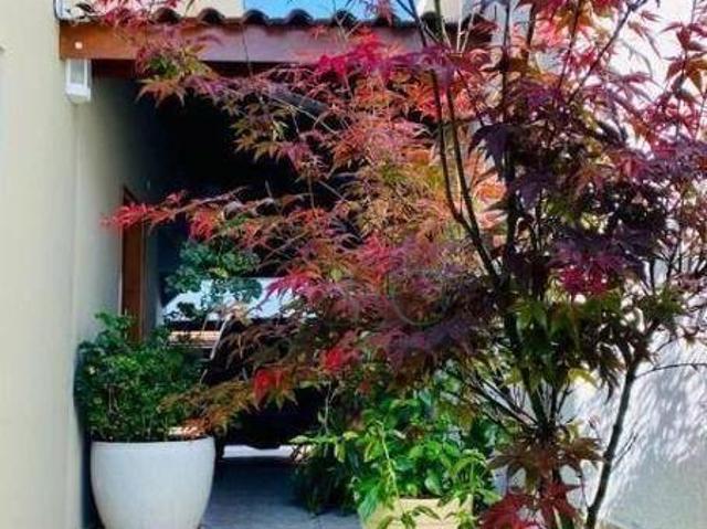 Casa à venda, 320 m² por R$ 2.590.000,00 Planalto Paulista São Paulo/SP