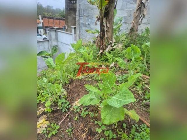 Casa a Venda Ampla com Pomar Horta e Excelente Ribeirão Pires – SP