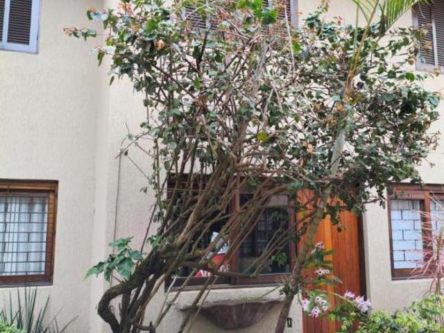 Casa à venda em Curitiba PR, Alto da Rua XV, 3 quartos, 1 suíte, 2 salas, 3 banheiros, 154,26 m²