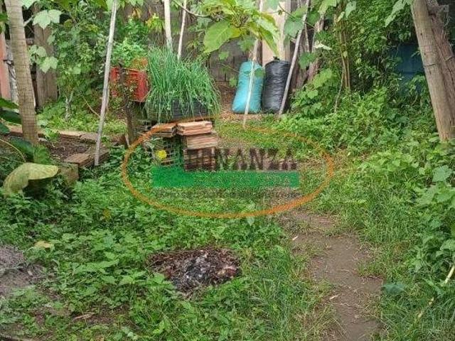 Casa à venda em Bichinho