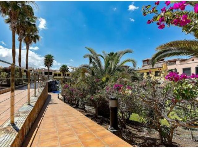 Casa adosada Alquiler Adeje, Costa Adeje