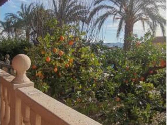 Casa adosada Alquiler Lorca, La Hoya Almendricos Purias