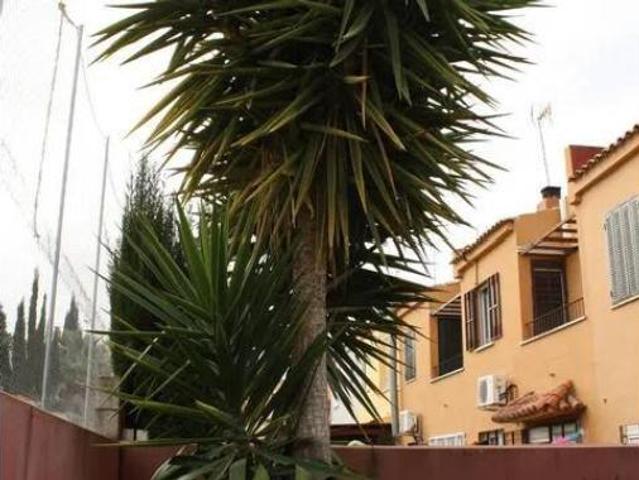 Casa adosada Alquiler Mairena del Aljarafe, Casco Antiguo
