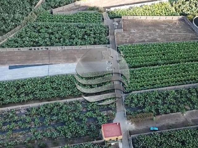 Casa adosada de 105 m2 en venta Los Silos, España