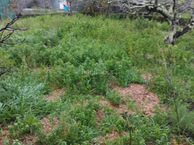 Casa adosada en venta en Carballo. CASA CON FINCA EN SISAMO. Casas adosadas.