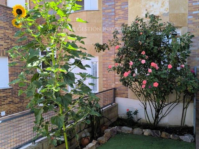 Casa adosada en Venta en Carrascal de Barregas
