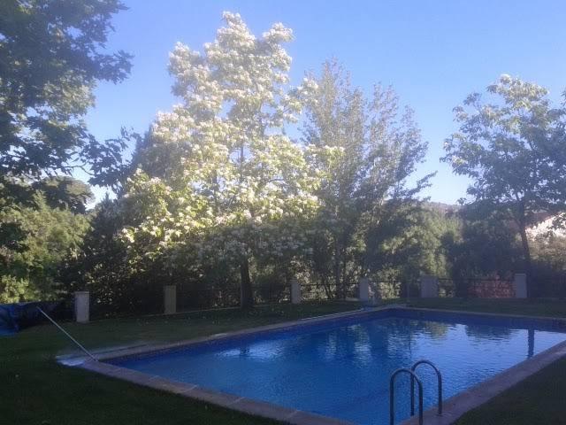 Casa adosada en Venta en Club de Golf