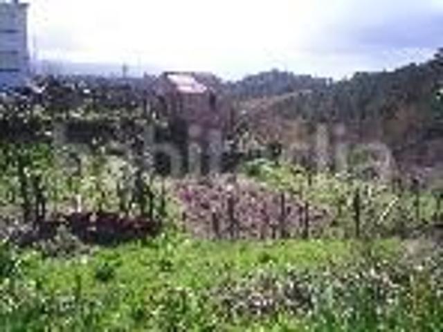 Casa adosada en venta en Arbo. Casas adosadas.