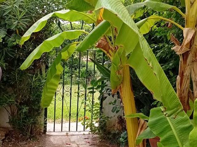 Casa adosada en Venta en Marina de Casares