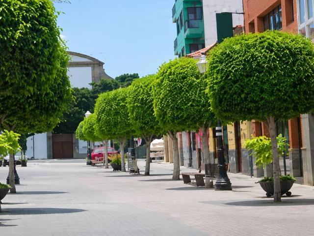 Casa adosada en Venta en San Gregorio