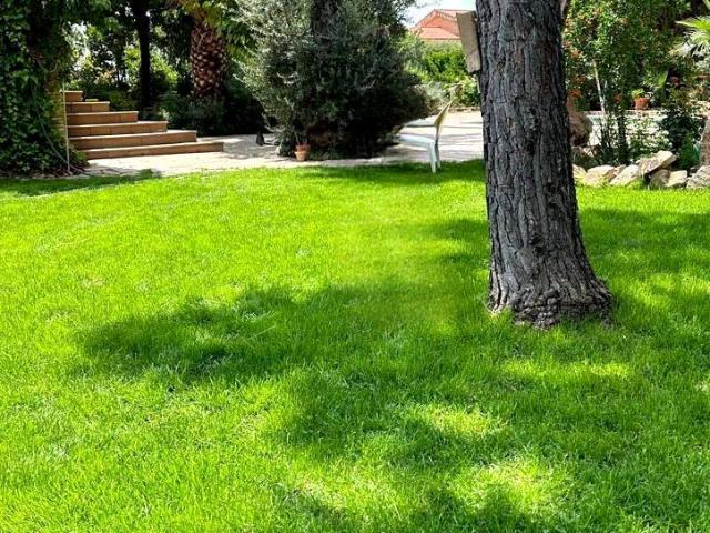 Casa adosada en Venta en San Roque La Cruz La Rozuela