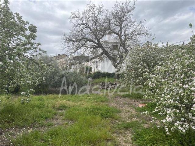 Casa adosada en Venta en Priego de Córdoba