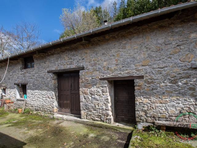 Casa adosada en venta en Villaviciosa, Parroquias suroccidentales. Venta de casa, cuadra y tendejon con finca. Casas adosadas.