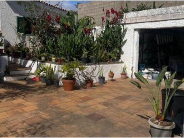 Casa adosada Venta Firgas, Acebuche