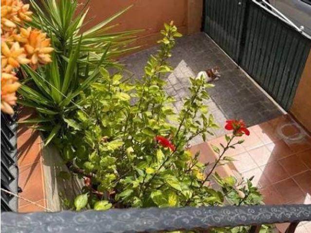 Casa adosada Venta Orihuela, Orihuela Pedanías