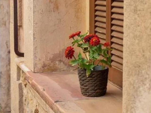 Casa adosada Venta Pollença, Pollença