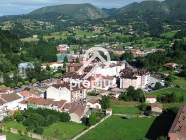 Casa adosada Venta Piloña, Infiesto