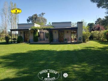 Casa Alquiler monoambiente 16 años, 2 cocheras, 2087m2, Club Campo Santa Catalina 0, La Loma Lujan | Argenprop