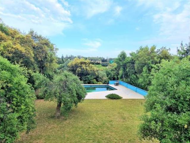 Casa Alquiler Sotogrande, Sotogrande Alto