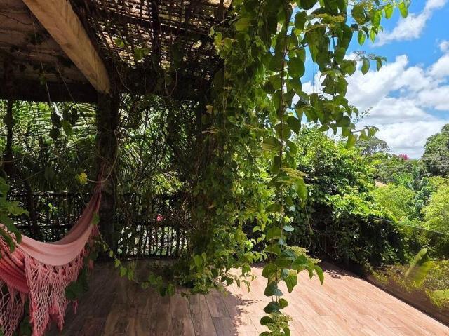 Casa Ampla Com Bosque E Sustentabilidade Em Destaque – Aluguel R$1.900,00/mês