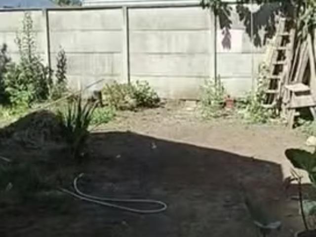 Casa amplia camino a cajón, temuco | 4 dormitorios por 70000. 00 en Temuco