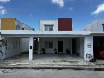 Arbol Grande CIUDAD MADERO, Pueblo Viejo Veracruz, Veracruz-Llave